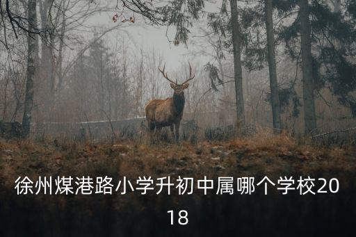 徐州煤港路小學升初中屬哪個學校2018