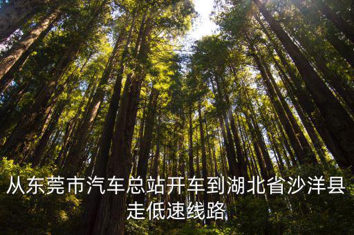 去東莞市繞開湖北省怎么走，從東莞到湖北武漢的最短路徑怎走