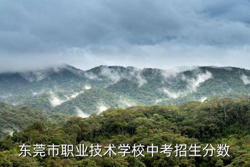 東莞市職業(yè)技術(shù)學(xué)校中考招生分?jǐn)?shù)