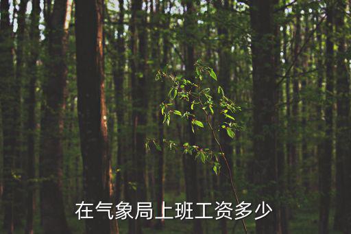 在氣象局上班工資多少