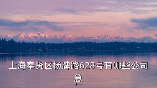 上海奉賢區(qū)楊牌路628號有哪些公司急