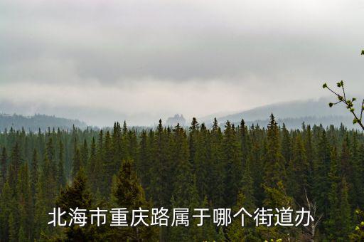 北海市重慶路屬于哪個街道辦