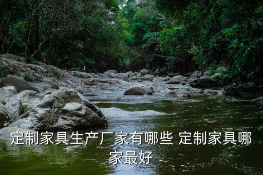 定制家具生產廠家有哪些 定制家具哪家最好