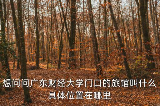 想問問廣東財經大學門口的旅館叫什么具體位置在哪里
