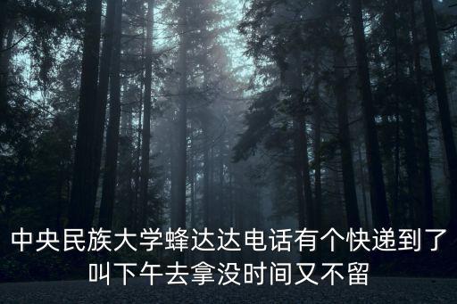 深圳蜂達達快遞，中央民族大學蜂達達電話有個快遞到了叫下午去拿沒時間又不留