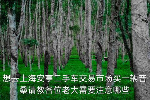 想去上海安亭二手車交易市場買一輛普桑請教各位老大需要注意哪些