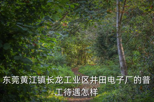 東莞黃江鎮長龍工業區井田電子廠的普工待遇怎樣