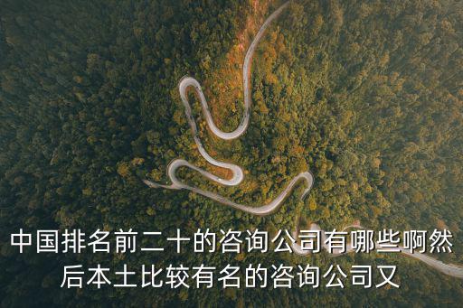 中國(guó)排名前二十的咨詢公司有哪些啊然后本土比較有名的咨詢公司又