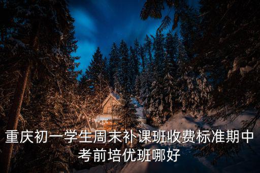 重慶市第一雙語學校收費標準，重慶有哪些好的國際學校收費和大概情況是什么