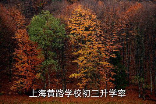 上海市黃路中心小學，上海黃路學校初三升學率