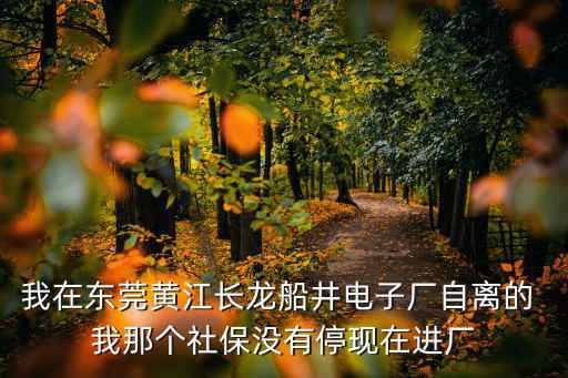 我在東莞黃江長龍船井電子廠自離的 我那個社保沒有停現在進廠