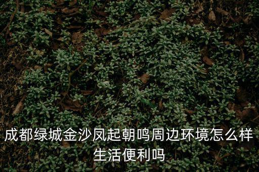 成都綠城金沙鳳起朝鳴周邊環境怎么樣生活便利嗎