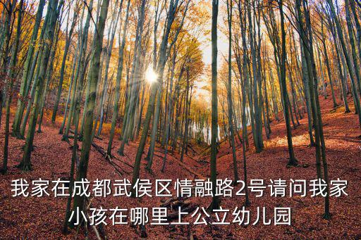 我家在成都武侯區(qū)情融路2號請問我家小孩在哪里上公立幼兒園