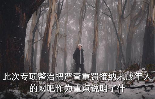 此次專項整治把嚴查重罰接納未成年人的網吧作為重點說明了什