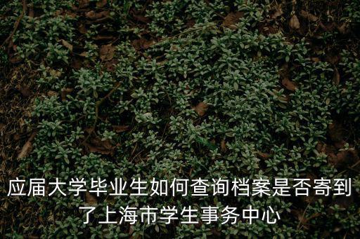 應(yīng)屆大學(xué)畢業(yè)生如何查詢檔案是否寄到了上海市學(xué)生事務(wù)中心