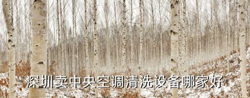 深圳清洗設(shè)備，深圳做的好的超聲波清洗機(jī)有哪家是值得信賴的