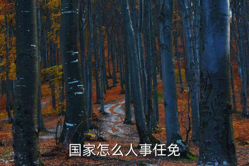 國家怎么人事任免