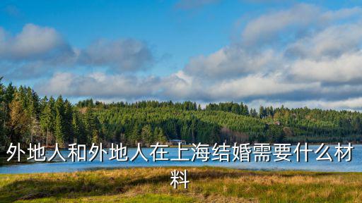 外地人和外地人在上海結(jié)婚需要什么材料