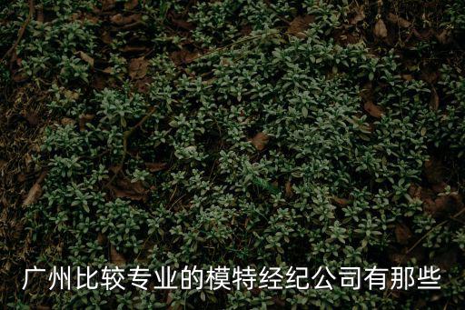 廣州辰昊文化發(fā)展有限公司，廣州比較專業(yè)的模特經(jīng)紀公司有那些