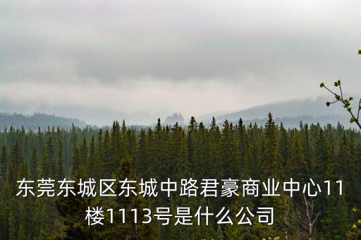 東莞東城區(qū)東城中路君豪商業(yè)中心11樓1113號(hào)是什么公司