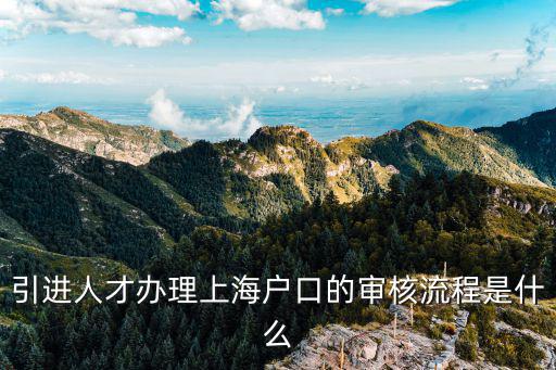 引進人才辦理上海戶口的審核流程是什么