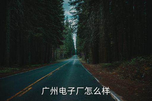 廣州電子廠怎么樣