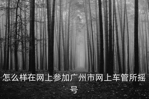 怎么樣在網上參加廣州市網上車管所搖號