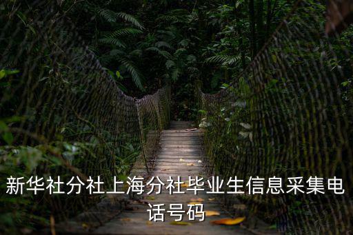 新華社分社上海分社畢業生信息采集電話號碼