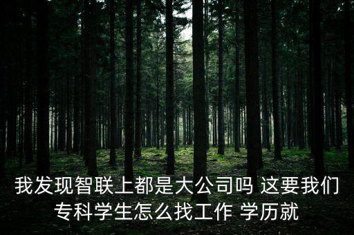 我發現智聯上都是大公司嗎 這要我們專科學生怎么找工作 學歷就