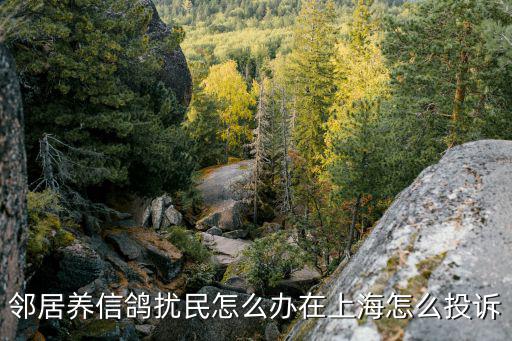 鄰居養(yǎng)信鴿擾民怎么辦在上海怎么投訴