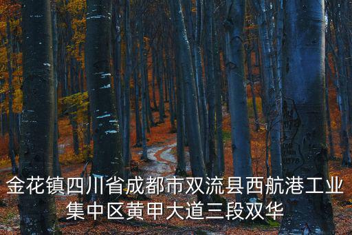 金花鎮四川省成都市雙流縣西航港工業集中區黃甲大道三段雙華