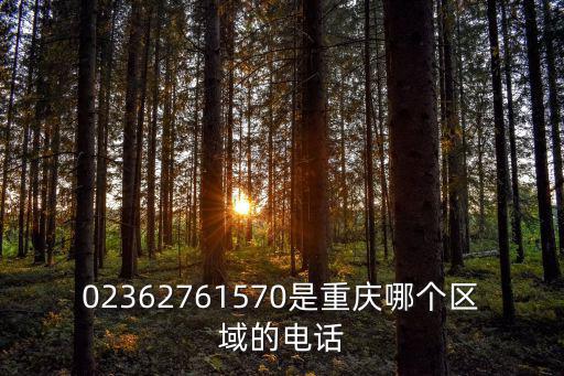 02362761570是重慶哪個區域的電話