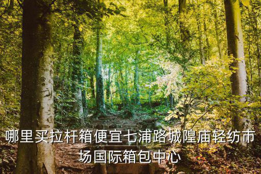 上海市皮箱批發(fā)市場，哪里買拉桿箱便宜七浦路城隍廟輕紡市場國際箱包中心
