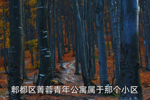 郫都區菁蓉青年公寓屬于那個小區