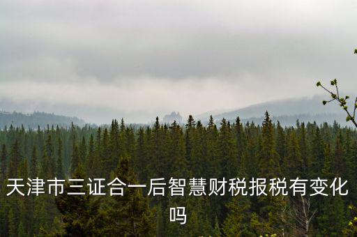 天津市三證合一后智慧財(cái)稅報(bào)稅有變化嗎