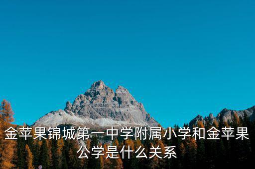 金蘋果錦城第一中學附屬小學和金蘋果公學是什么關系