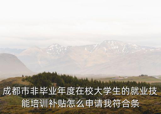 成都市非畢業(yè)年度在校大學(xué)生的就業(yè)技能培訓(xùn)補貼怎么申請我符合條