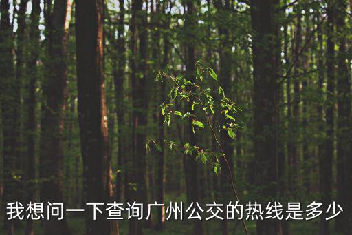 我想問一下查詢廣州公交的熱線是多少