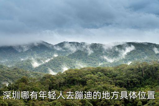 深圳哪有年輕人去蹦迪的地方具體位置