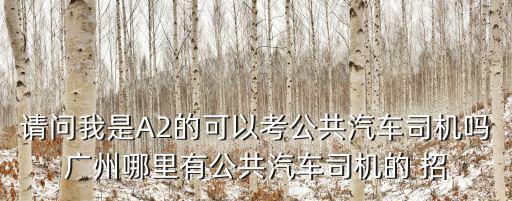 請問我是A2的可以考公共汽車司機嗎廣州哪里有公共汽車司機的 招