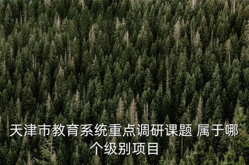 天津市教育系統重點調研課題 屬于哪個級別項目