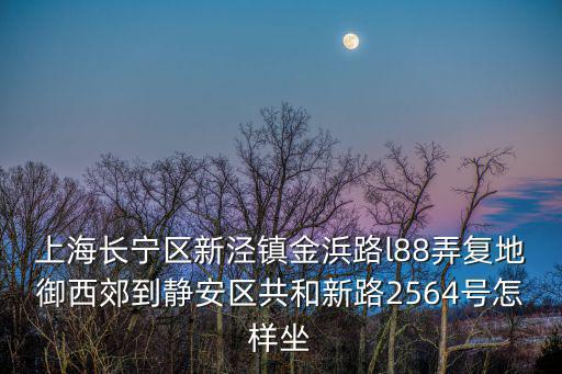 上海長寧區新涇鎮金浜路l88弄復地御西郊到靜安區共和新路2564號怎樣坐