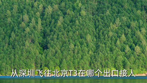 深圳t3航站樓接人，T3航站樓接國(guó)內(nèi)航班在幾層