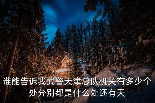 武警天津市總隊領導名，天津武警總隊