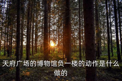 天府廣場的博物館負一樓的動作是什么做的