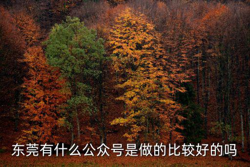 東莞有什么公眾號是做的比較好的嗎