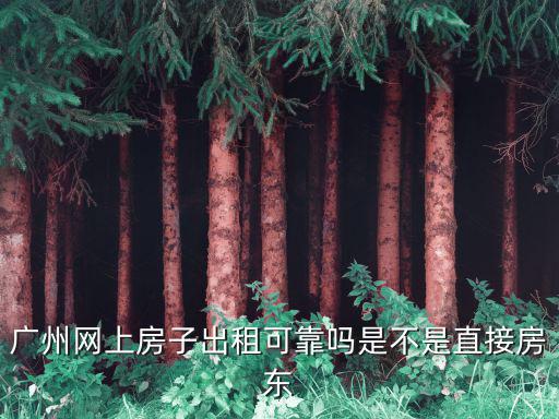 廣州網上房子出租可靠嗎是不是直接房東