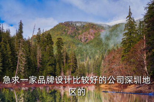 急求一家品牌設(shè)計(jì)比較好的公司深圳地區(qū)的