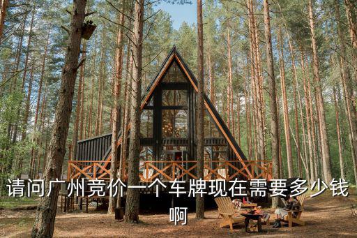請問廣州競價一個車牌現在需要多少錢啊