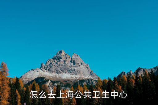 上海市公共臨床中心郵箱多少錢，上海公共衛生臨床中心三級甲等好象是和上海疾控中心合作的單位我